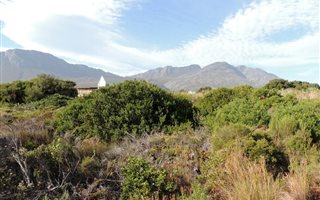 779 m² Land available in Pringle Bay