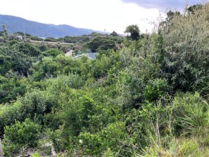 1734 m² Land available in Wilderness