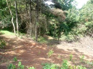 3672 m² Land available in Hillcrest Central