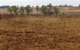 2855 m² Land available in Belfast