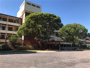 1.5 Bedroom Apartment in Queenswood