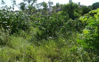 1114 m² Land available in Park Hill