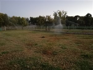 8565 m² Farm in Barkly West