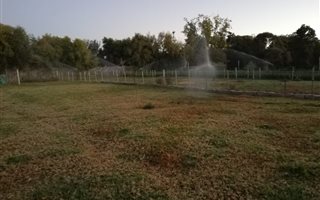 8565 m² Farm in Barkly West