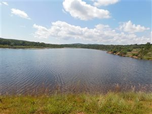 2600 ha Farm in Mookgophong (Naboomspruit)