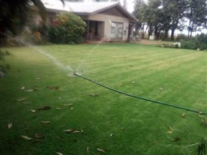56 ha Farm in Koster