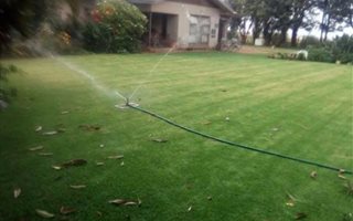 56 ha Farm in Koster