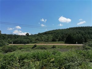 2 ha Farm in Haenertsburg