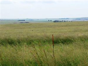 521 ha Farm in Greylingstad