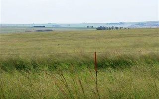 521 ha Farm in Greylingstad