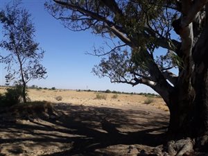 153 ha Farm in Klerksdorp