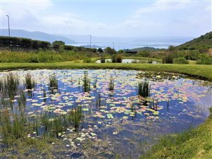 471 m² Land available in Fernwood Estate