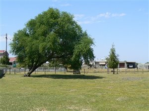 2408 m² Land available in Graafwater