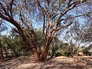 4.4 ha Smallholding in Rustenburg