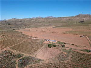 53 ha Farm in Joubertina