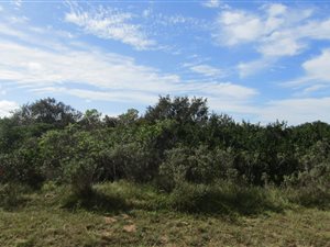 765 m² Land available in Riversbend
