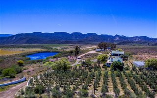 54 ha Farm in Montagu