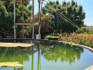11.5 ha Farm in Ventersdorp