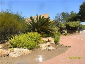 1 Bed Garden Cottage in Constantia Kloof