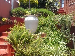 3 Bed House in Havenside