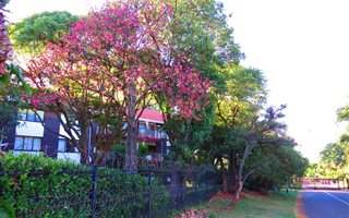2 Bedroom Apartment in Lynnwood