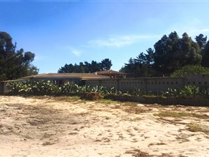 1 ha Farm in Morningstar