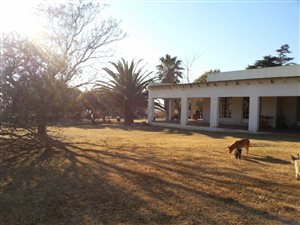 8 ha Farm in Knopjeslaagte