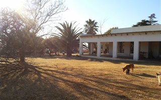 8 ha Farm in Knopjeslaagte