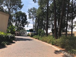 1 Bed Apartment in Rembrandt Park