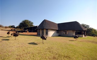 132.6 ha Farm in Middelburg