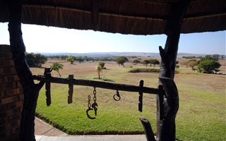 132.6 ha Farm in Middelburg