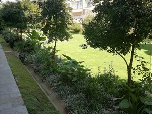 1 Bed Apartment in Orchards