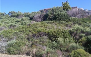920 m² Land available in Cola Beach