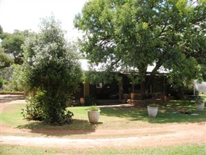 8.5 ha Farm in Erasmus