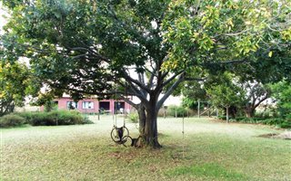 21 ha Farm in Cullinan