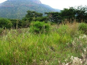 1883 m² Land available in Ohrigstad