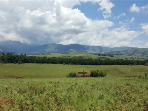 1126 m² Land available in Winterton