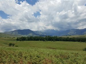 1126 m² Land available in Winterton
