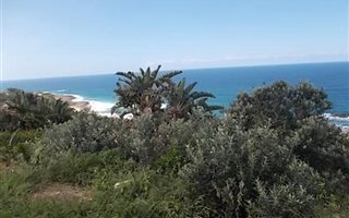 1113 m² Land available in Tinley Manor and surrounds