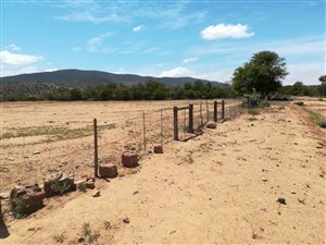 1.2 ha Land available in Steytlerville