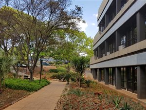 282.200012207031 m² Office Space in Bedfordview