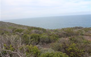 1453 m² Land available in Pinnacle Point Golf Estate