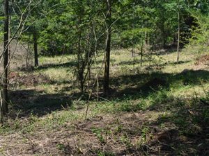 3716 m² Land available in Crestholme