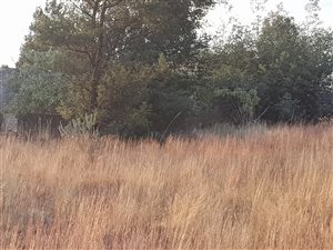 2.5 ha Land available in Walkerville