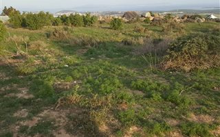 594 m² Land available in Hoogland