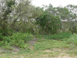 664 m² Land available in Kleinemonde