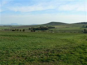 804 ha Farm in Malmesbury