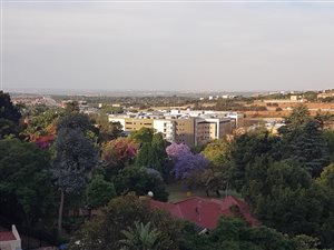 4 Bed House in Floracliffe