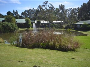 3 Bed House in Harkerville