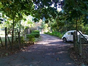 4 Bed House in Richmond